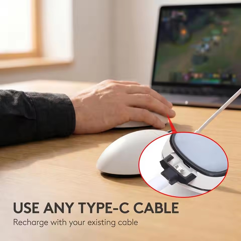 Micro-USB naar Type-C-oplaadad - Wireless Gaming Mouse recensie en prijs